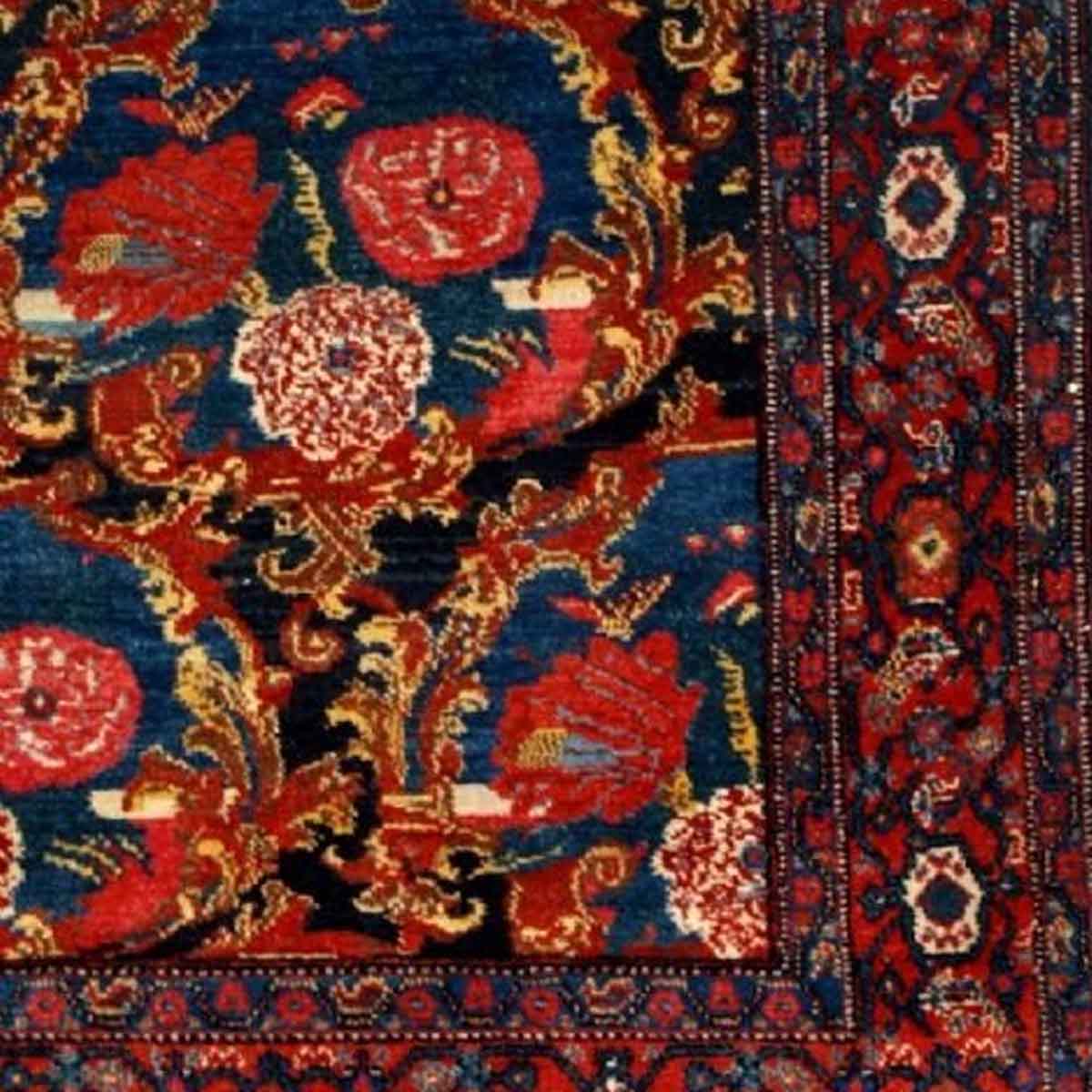طرح فرش ایرانی گل فرنگ لاکی